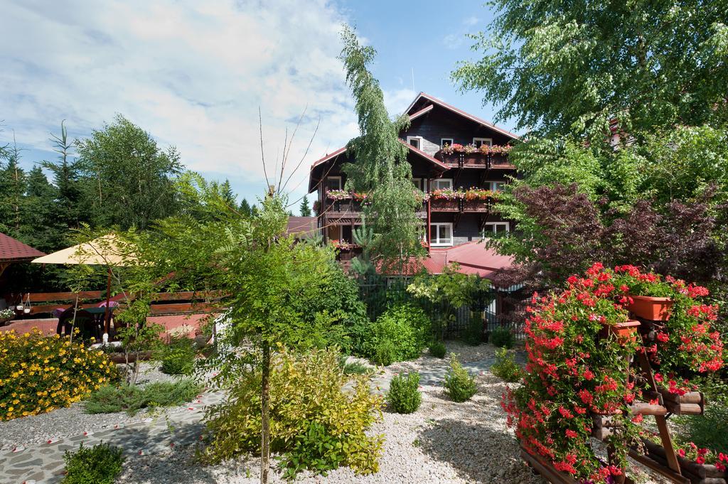 Pension Restaurant Speranta 普雷代亚尔 外观 照片