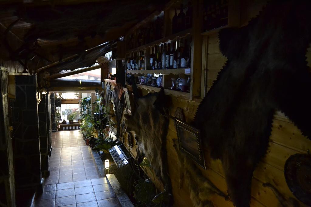 Pension Restaurant Speranta 普雷代亚尔 外观 照片