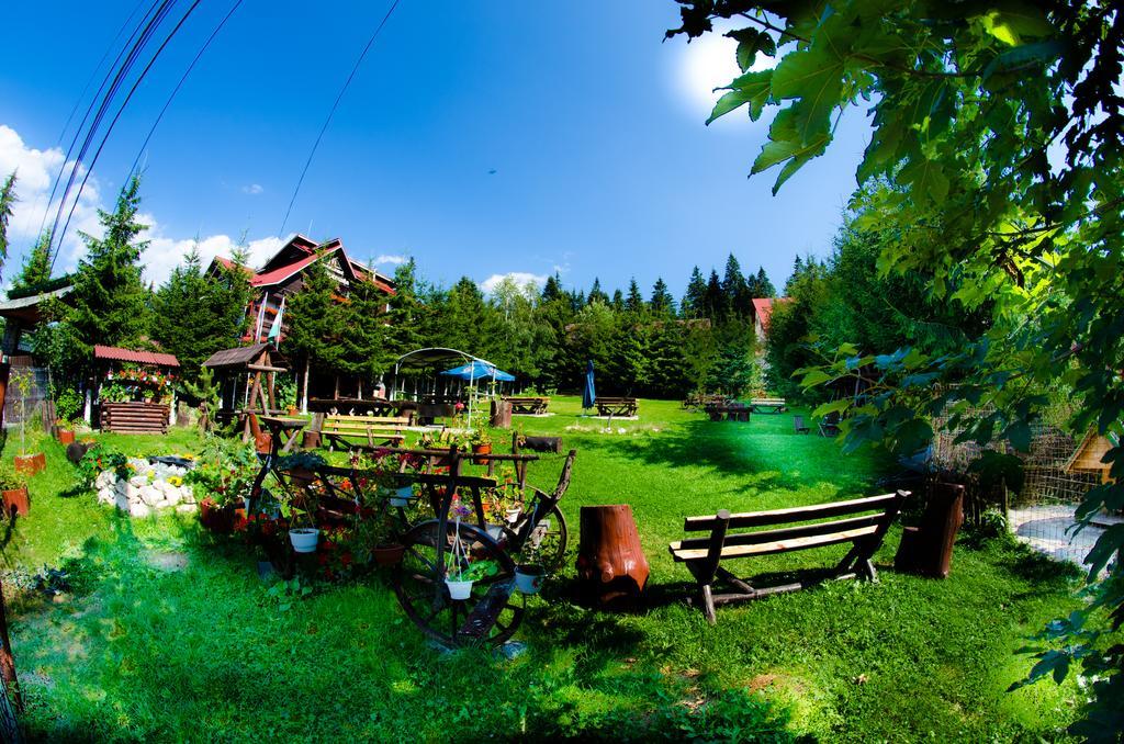 Pension Restaurant Speranta 普雷代亚尔 外观 照片