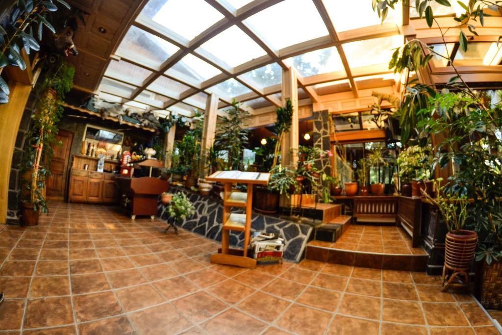 Pension Restaurant Speranta 普雷代亚尔 外观 照片